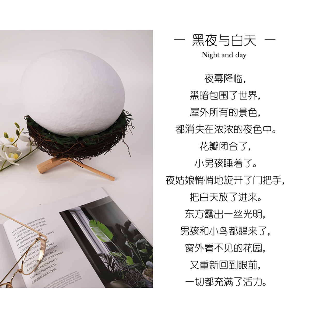 鸟巢灯_03.png